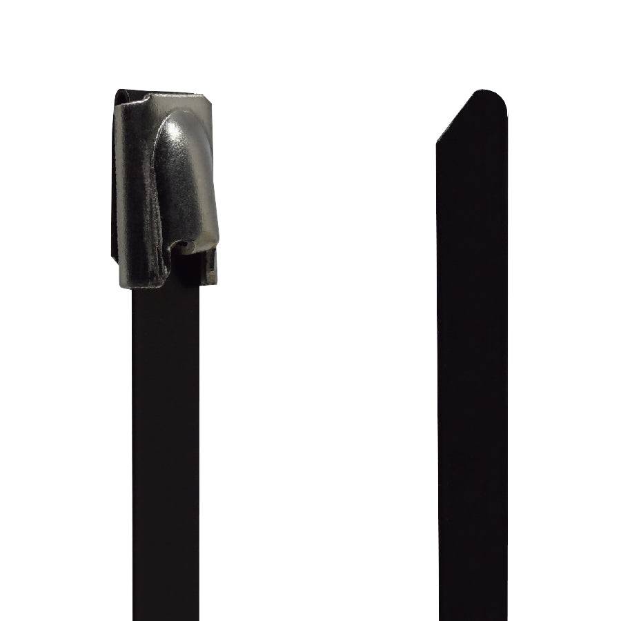 PVC304-46250 - 10" Estándar PVC Coated Stainless De acero Bridas, 200lb Tensile Strength, 304 Grade, 50-Pack